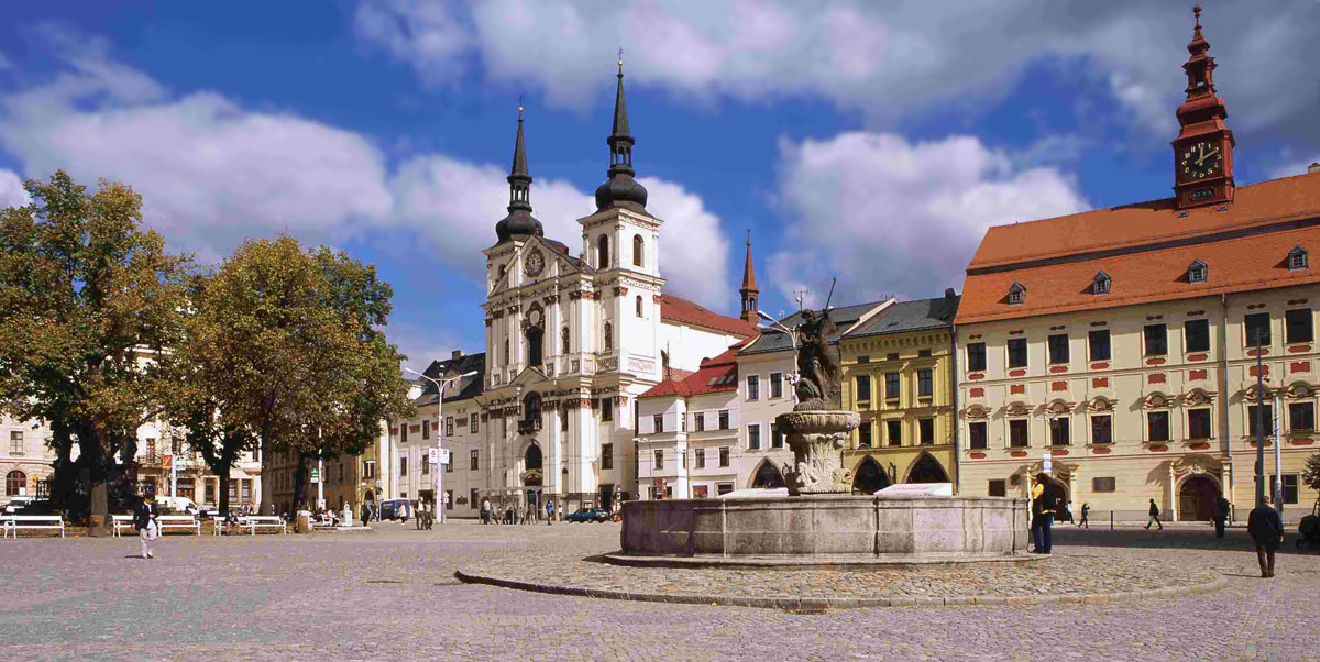 Svatební focení Jihlava