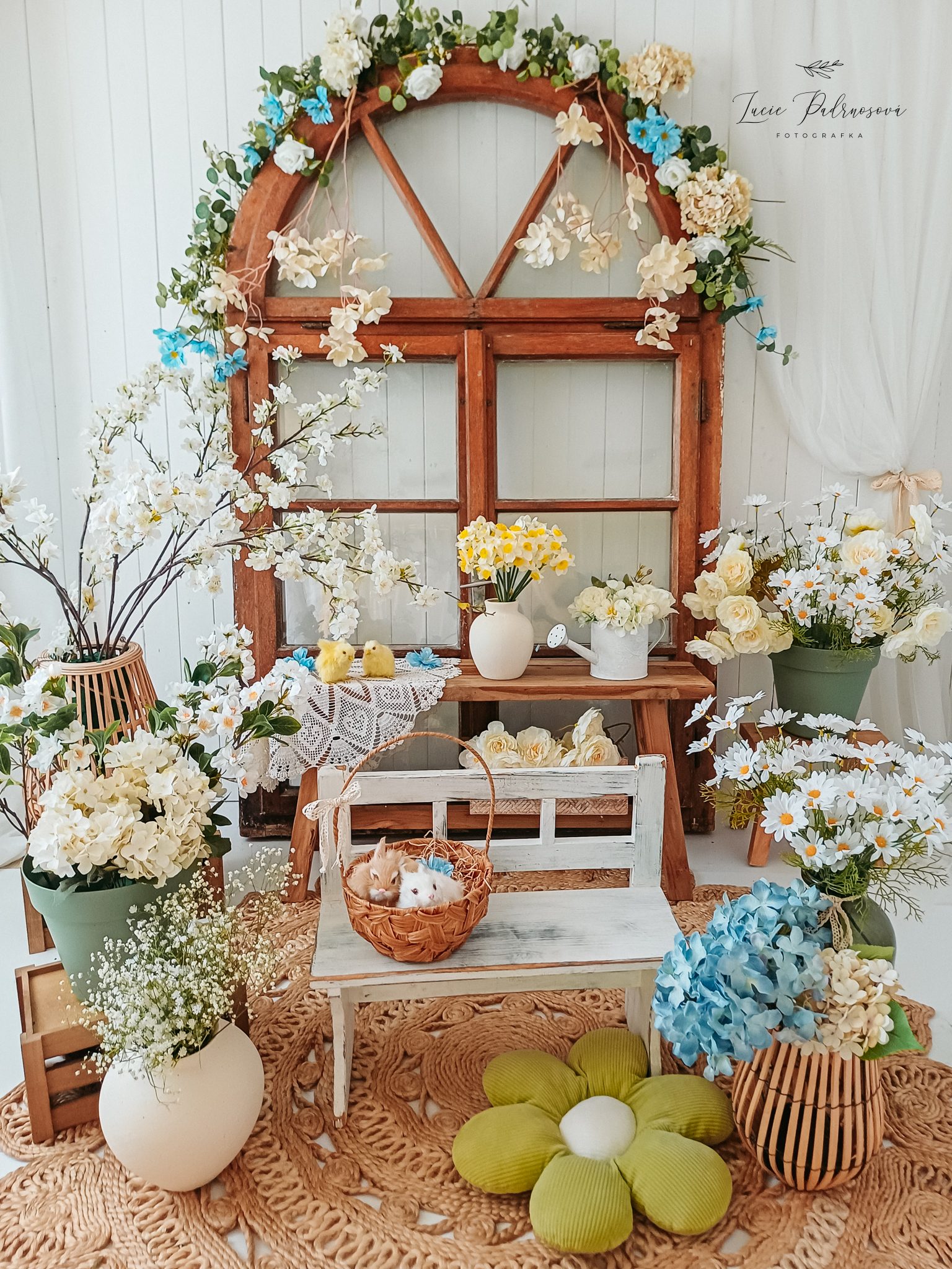 Náhled aktuality JARNÍ/VELIKONOČNÍ FOCENÍ 2026